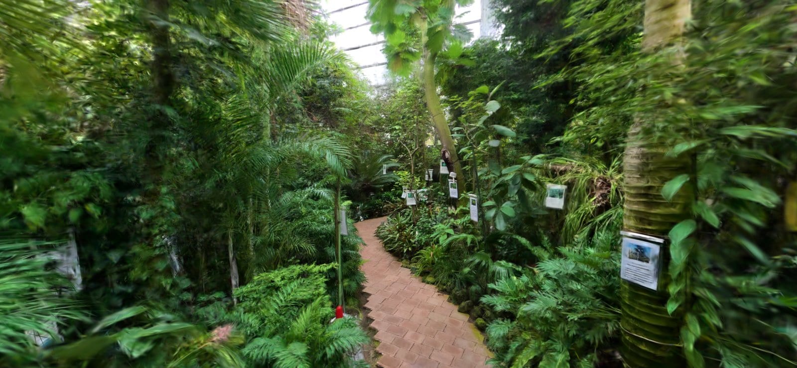 植物園・観光施設を3Dで「先に歩いてもらう」:温室3棟の記録から